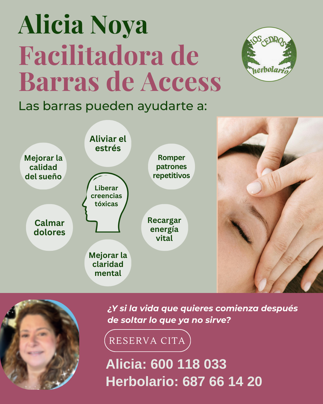 Taller numerología