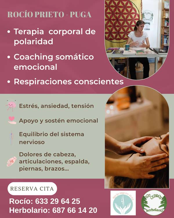 Taller numerología